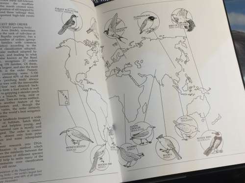 World Birds by Brian P. Martin