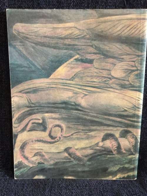 William Blake by Martin Butlin