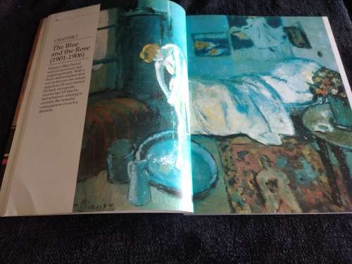 Picasso by OB Duane | Discovering Art Series