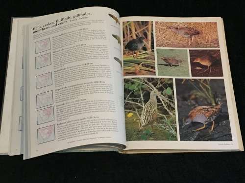 Southern African Birds ~ A Photographic Guide by Ian Sinclair and Ian Davidson