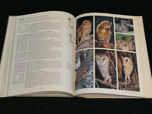 Southern African Birds ~ A Photographic Guide by Ian Sinclair and Ian Davidson