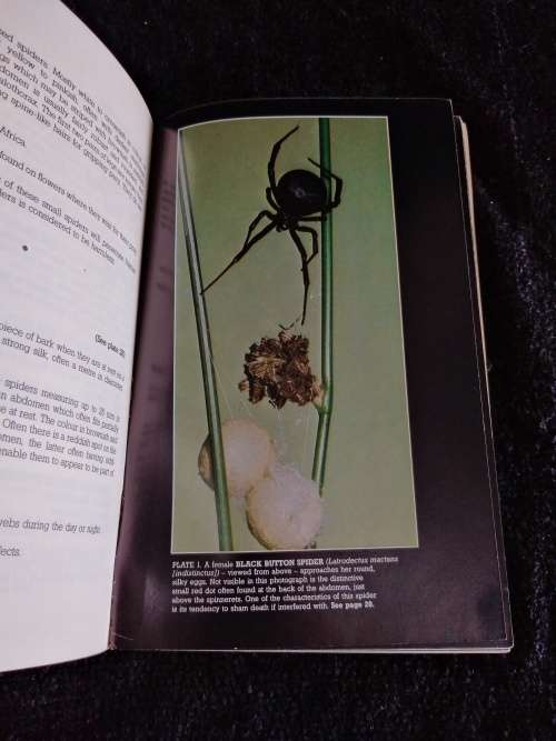 South African Spiders and Scorpions by Andre Prins and Vincent Leroux