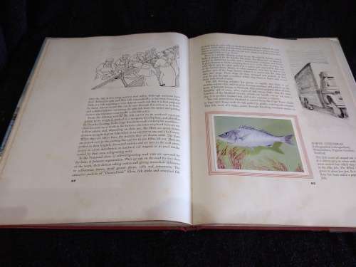 South African Fish and Fishing | Illustrated Story of the Fishing Industry by Irvan and Johnson
