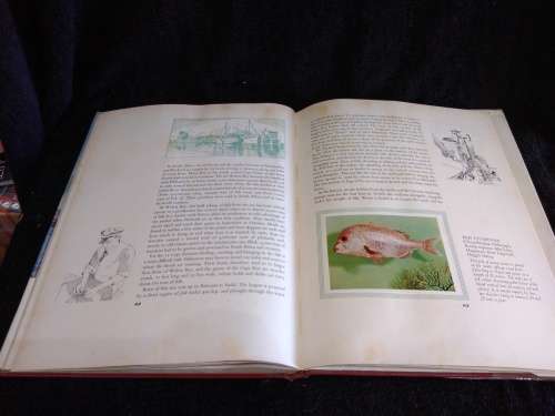 South African Fish and Fishing | Illustrated Story of the Fishing Industry by Irvan and Johnson
