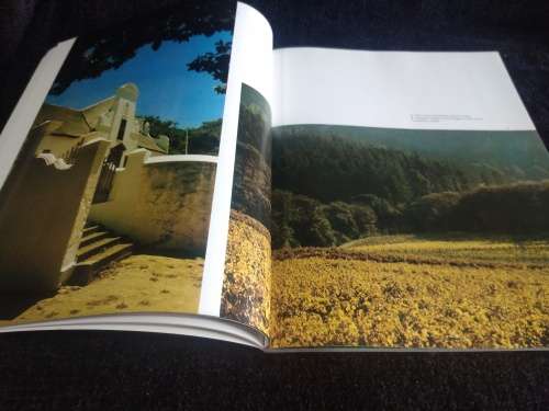 Winelands of the Cape by Chris Jansen