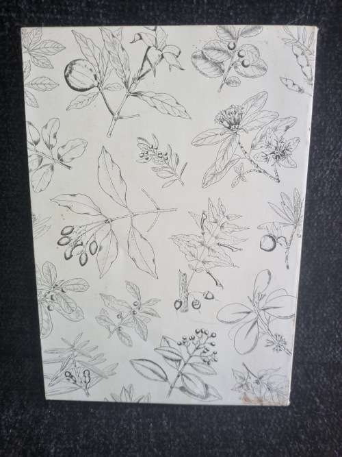 Southern Cape Tree Guide by F.Von Breitenbach