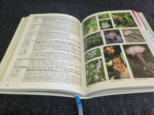 Mountain Flowers | A Field Guide to the Flora of Drakensberg and Lesotho by Elsa Pooley