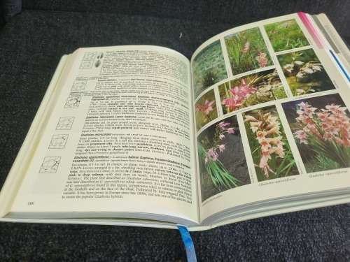 Mountain Flowers | A Field Guide to the Flora of Drakensberg and Lesotho by Elsa Pooley