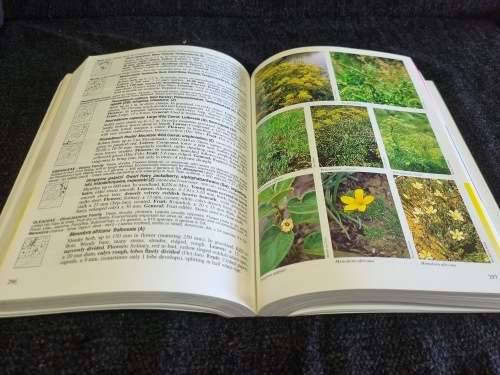 A Field Guide to Wild Flowers KwaZulu-Natal and the Eastern Region by Elsa Pooley