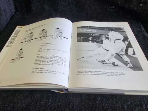 Contest Judo by Roy Inman