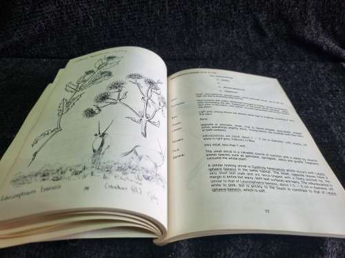Trees and Shrubs of the Etosha National Park by Cornelia Berry