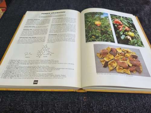 Medicinal Plants of South Africa by Ben-Erik Van Wyk, Bosch Van Oudtshoorn, Nigel Gericke