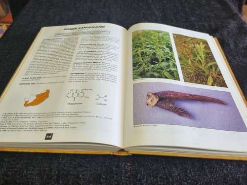 Medicinal Plants of South Africa by Ben-Erik Van Wyk, Bosch Van Oudtshoorn, Nigel Gericke