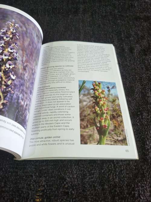 Grow Disas by Hildegrad Crous and Graham Duncan
