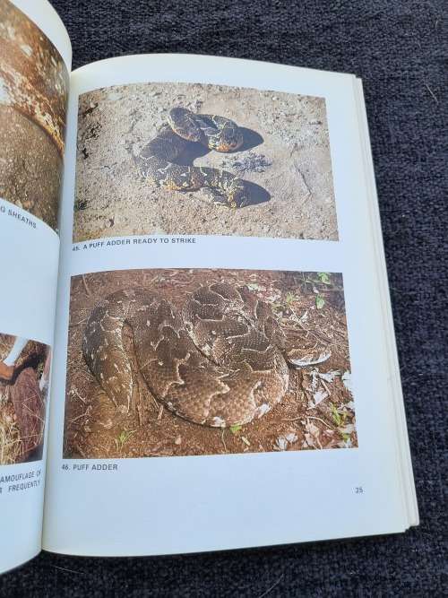 Snakes of South West Africa by P.J. Buys and P.J.C. Buys