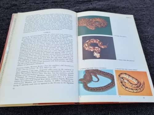 Snakes and Snakebite by John Visser and David S. Chapman
