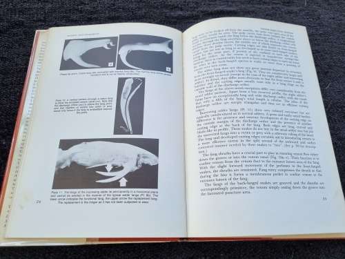 Snakes and Snakebite by John Visser and David S. Chapman