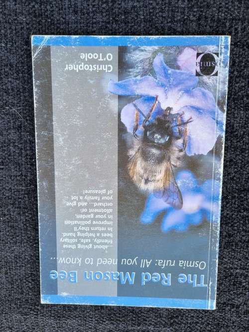 The Red Mason Bee Osmia Rufa: All you Need to Know by Christopher O`Toole