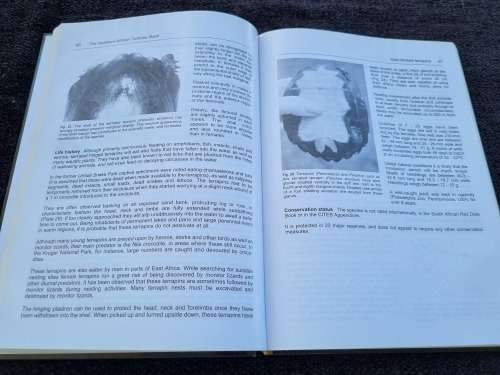 The Southern African Tortoise Book by Richard C. Boycott and Ortwin Bourquin