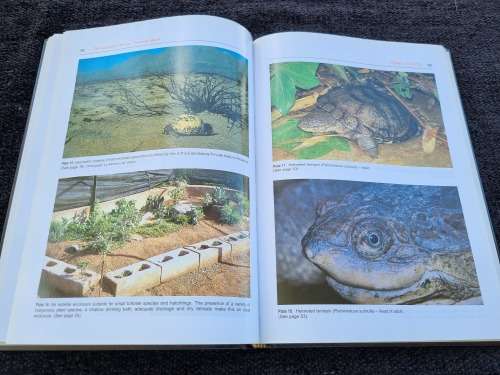 The Southern African Tortoise Book by Richard C. Boycott and Ortwin Bourquin