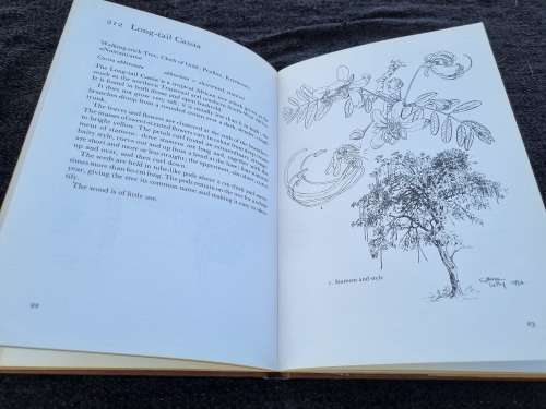 Trees of South Africa by Cythna Letty