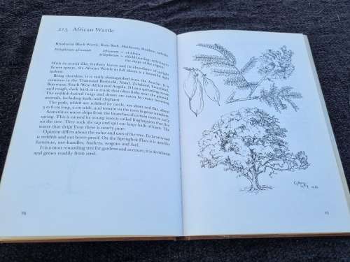 Trees of South Africa by Cythna Letty