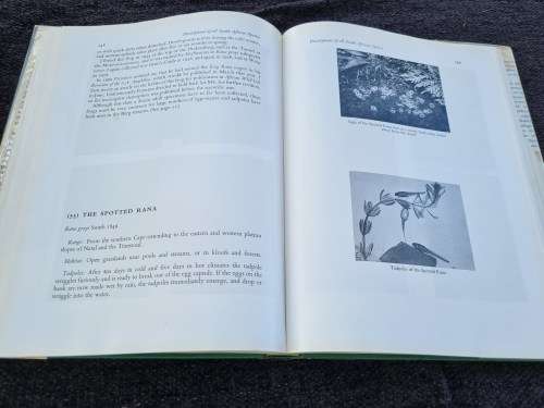 The Frogs of South Africa by Vincent A. Wager