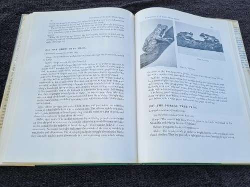 The Frogs of South Africa by Vincent A. Wager