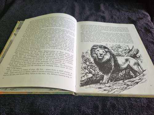The World of Big Game by Penny Miller and C.T.A. Maberly