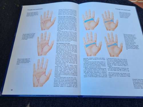 Palmistry by Francis King
