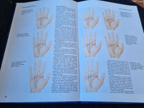 Palmistry by Francis King