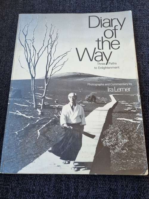 Diary of the Way by Ira Lerner