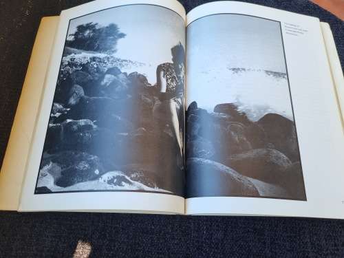 Diary of the Way by Ira Lerner