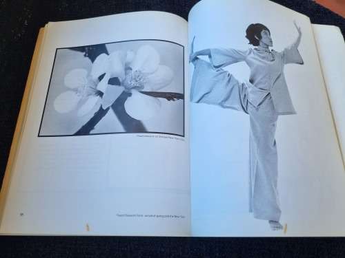 Diary of the Way by Ira Lerner
