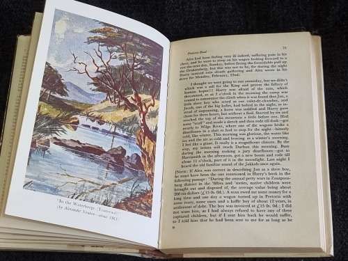 Taken at the Flood: The Story of Harry Struben by Roy Struben