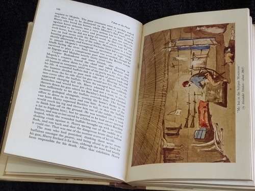 Taken at the Flood: The Story of Harry Struben by Roy Struben