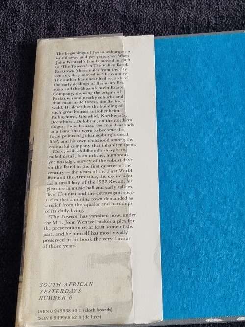 A View from the Ridge ~ Johannesburg Retrospect by John Wentzel