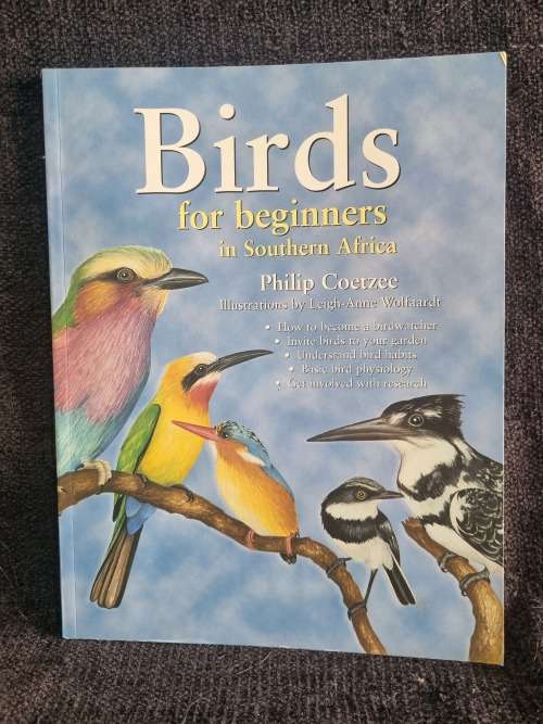 Birds for Beginners in Southern Africa by Philip Coetzee