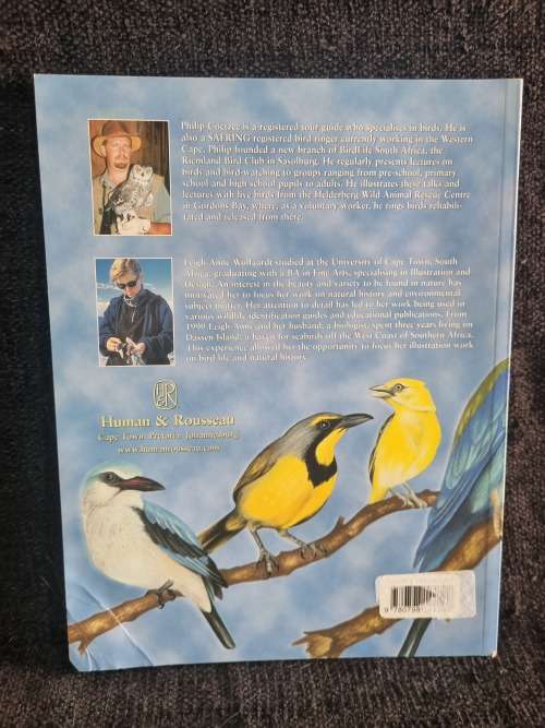 Birds for Beginners in Southern Africa by Philip Coetzee
