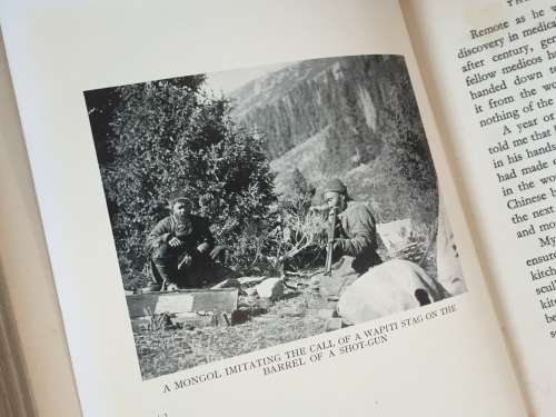 The Last Strongholds by Colonel P. T. Etherton | Himalayan and Central Asian travels