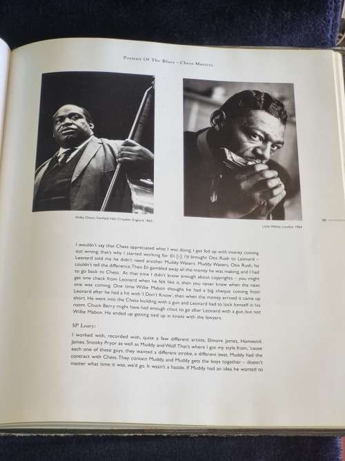 Portrait of the Blues by Paul Trynka