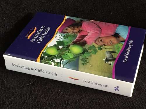 Awakening to Child Health: Nurturing Children`s Well Being by Raoul Goldberg