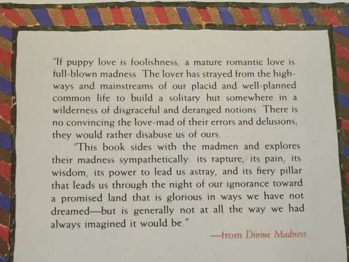 Divine Madness: Archetypes of Romantic Love by John R. Haule