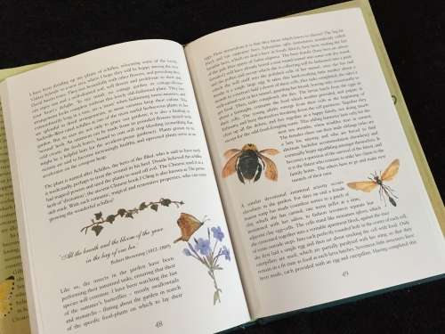 In a Country Garden by Gillian Rattray