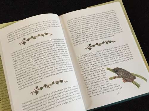 In a Country Garden by Gillian Rattray