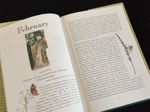 In a Country Garden by Gillian Rattray
