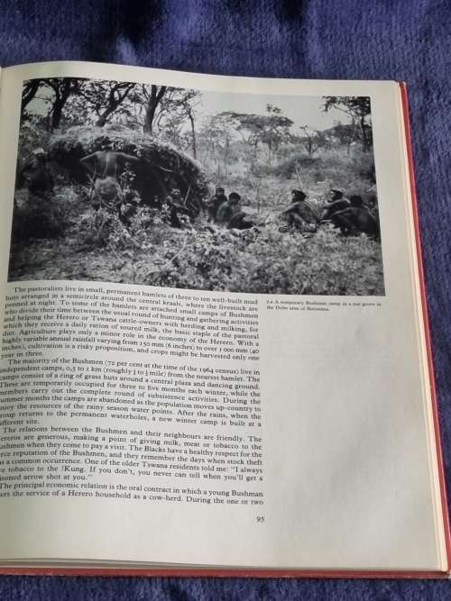 The Bushmen by Phillip V Tobias