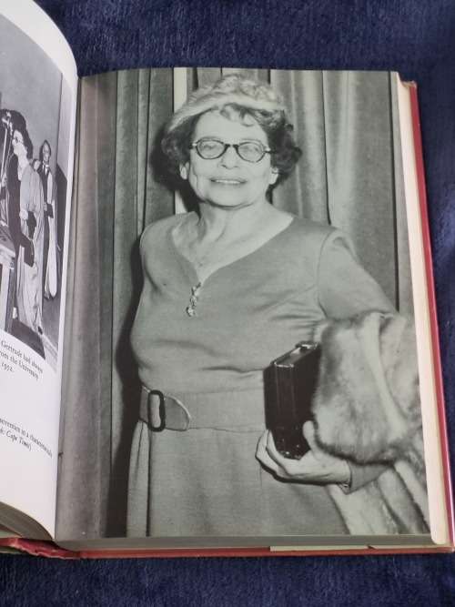 Sarah Gertrude Millin by Martin Rubin