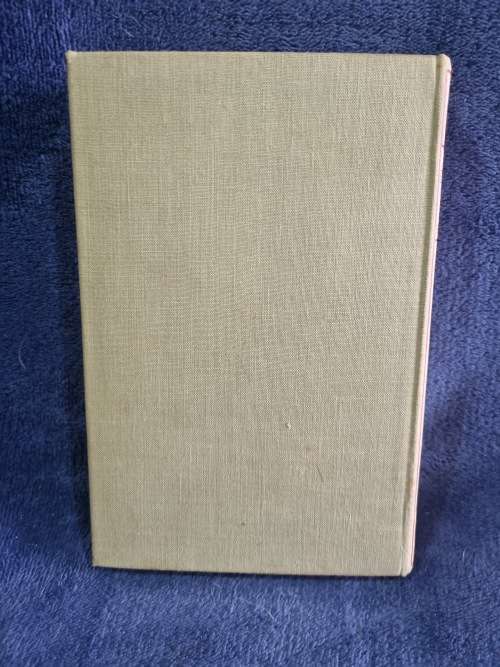 The Fiddler by Sarah Gertrude Millin