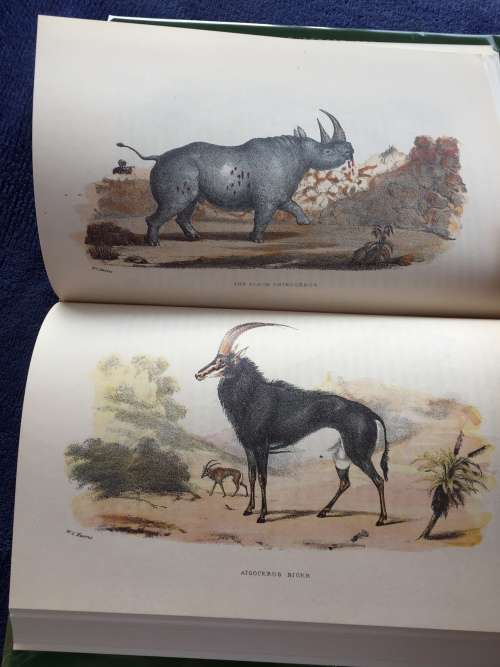 Wild Sports of Southern Africa by William Cornwallis Harris